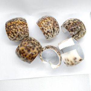 Sliced Cowrie Shell Napkin Rings Seashell Holders with an extra shell